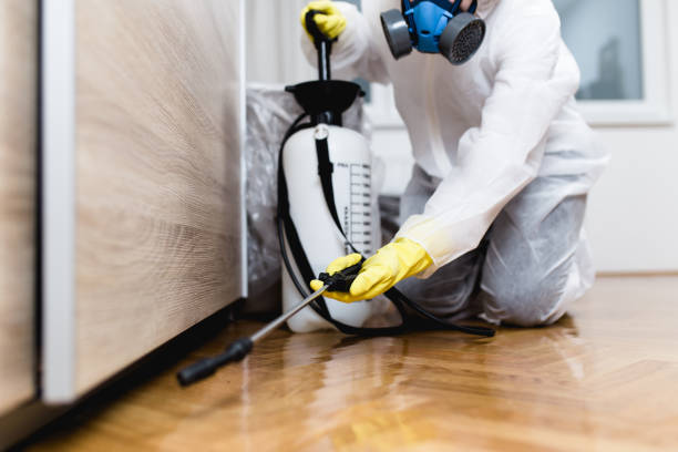 Best Mosquito Control Services  in Byng, OK