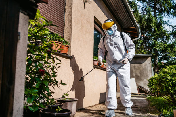 Best Residential Pest Control  in Byng, OK