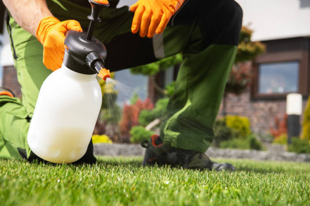 Best Rat Extermination Near Me  in Byng, OK