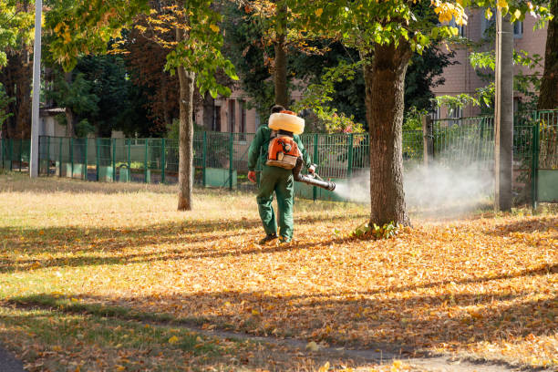 Best Affordable Pest Control Services  in Byng, OK