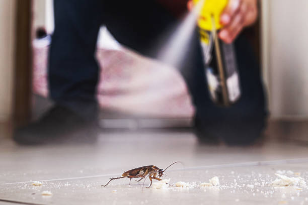 Best Pest Control Near Me  in Byng, OK