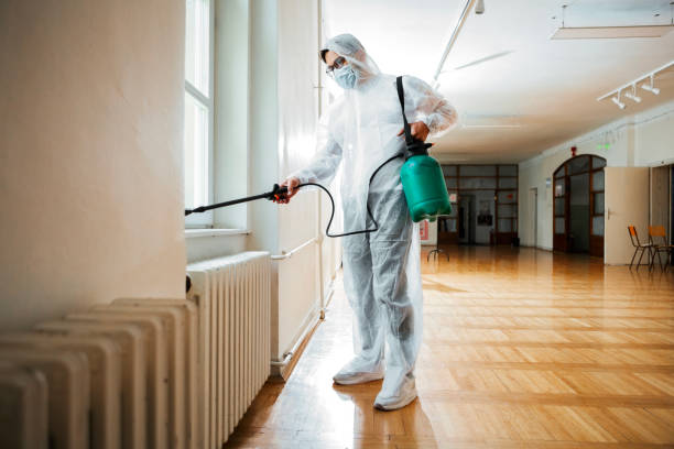 Best Pest Removal Services  in Byng, OK