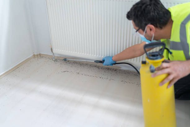 Best Cockroach Control Services  in Byng, OK