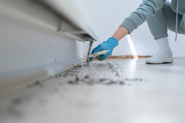 Byng, OK Pest Control Company