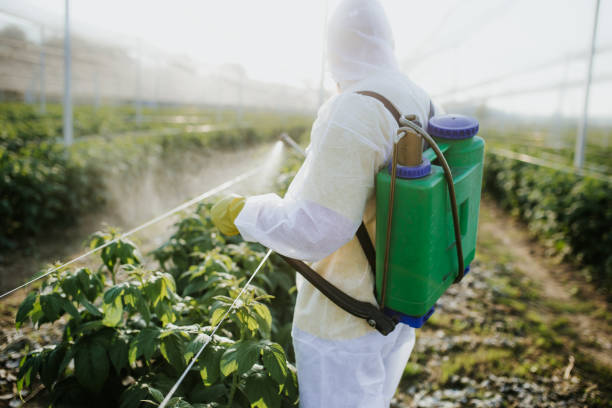Best Exterminator Services  in Byng, OK